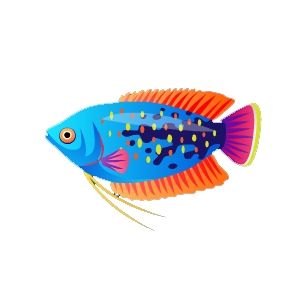 Colorsplash Gourami